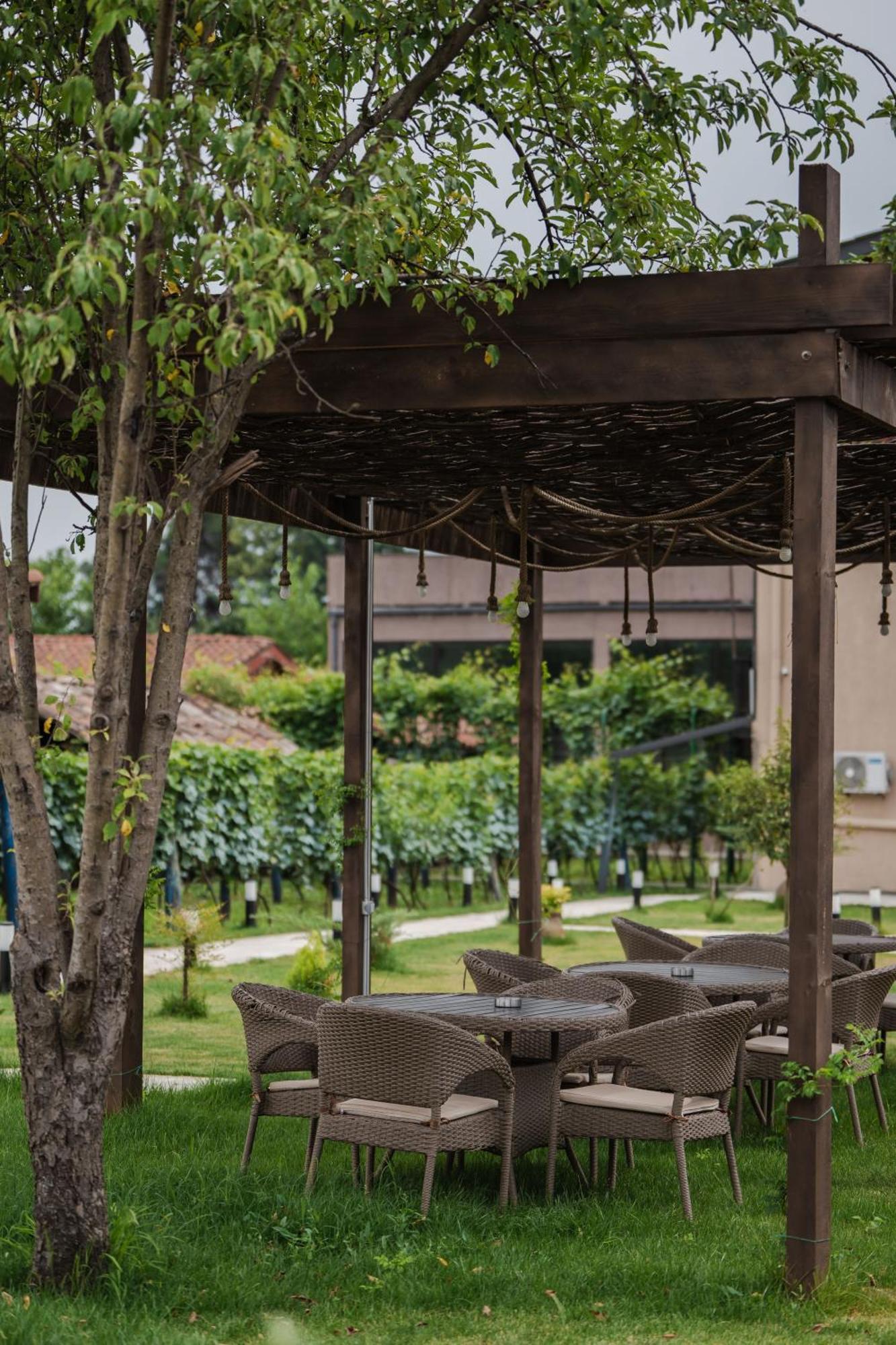 Vineyard Hotel & Winery Napareuli Extérieur photo