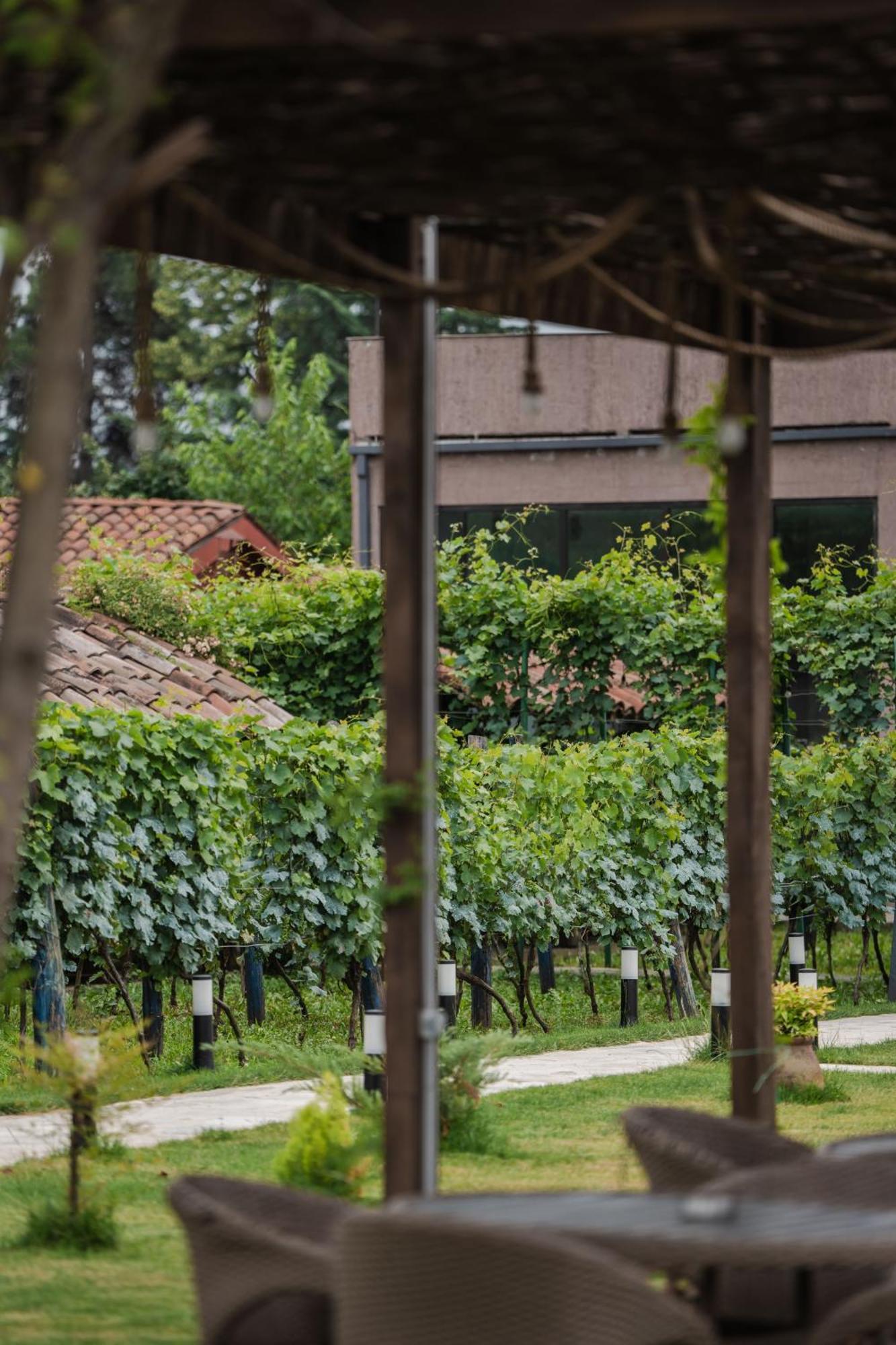 Vineyard Hotel & Winery Napareuli Extérieur photo